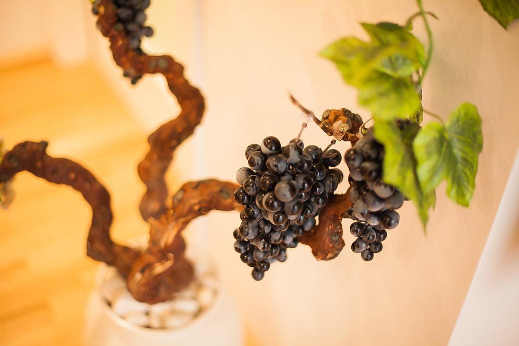 Apartmán Vineyard Of Šibenik Pokoj fotografie